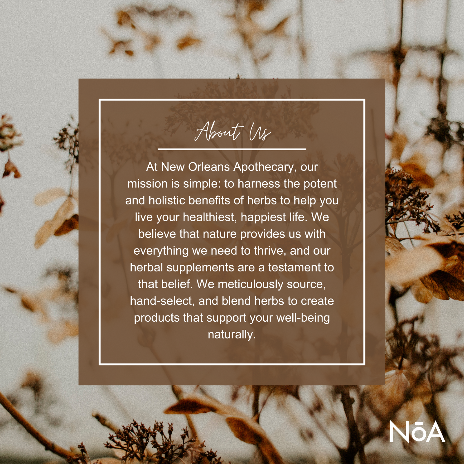 Comfrey Oil | Organic | Lemon Balm + Coconut Oil | High Potency