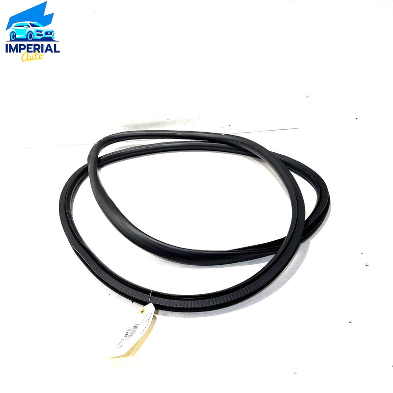 Used 2018-2023 GMC Terrain Front Passenger  Side Door On Body Weatherstrip Seal OEM