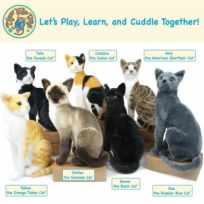 Boone the Black Cat | 14 Inch Stuffed Animal Plush | by Tiger Tale Toys
