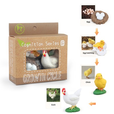 1 Box Toddler Preschool Toys Chick Butterfly Life Cycle Learning Kids Biology 6