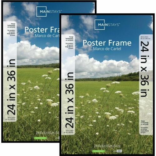 24x36 Basic Poster & Picture Frame Display Cover Showcase Ce
