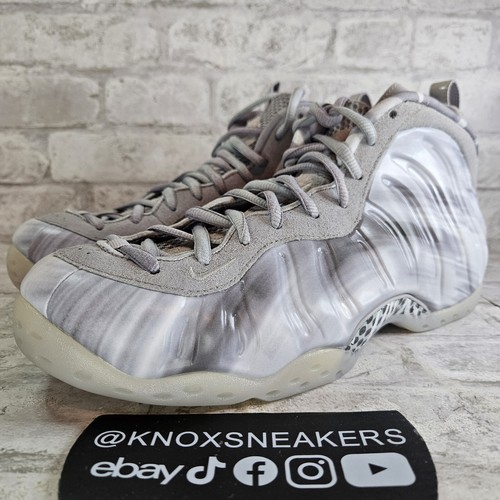 Nike Foamposite One QS Dream A World Tech Grey DM0115 001
