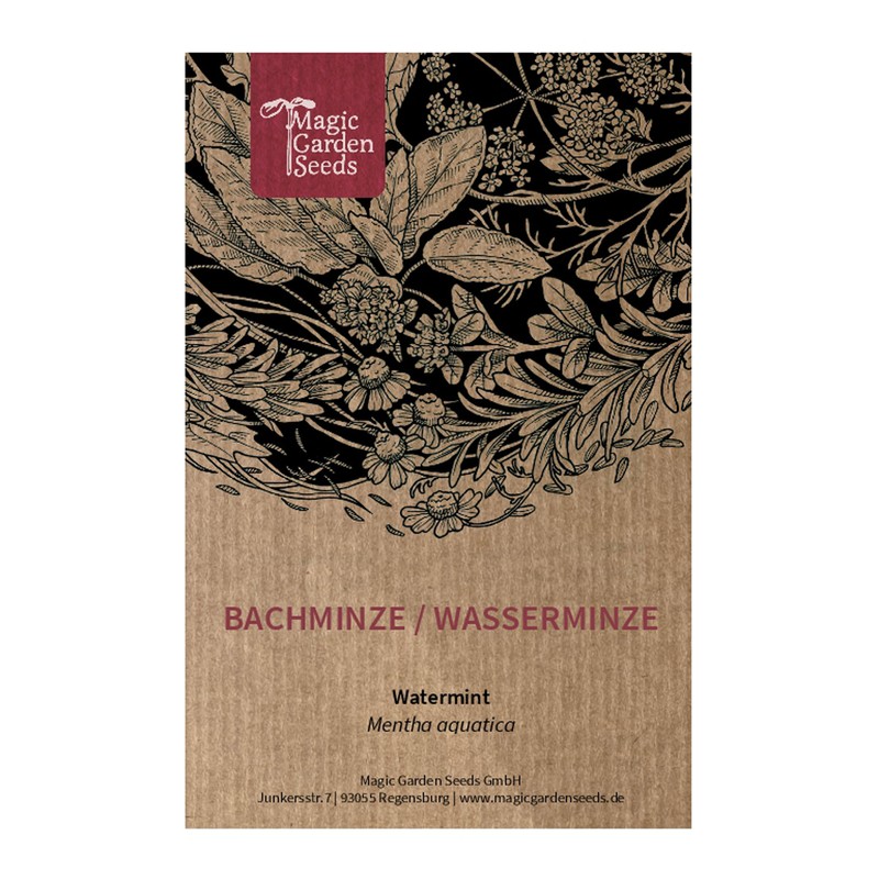 Bachminze / Wasserminze (Mentha Aquatica) - Ca. 400 Samen