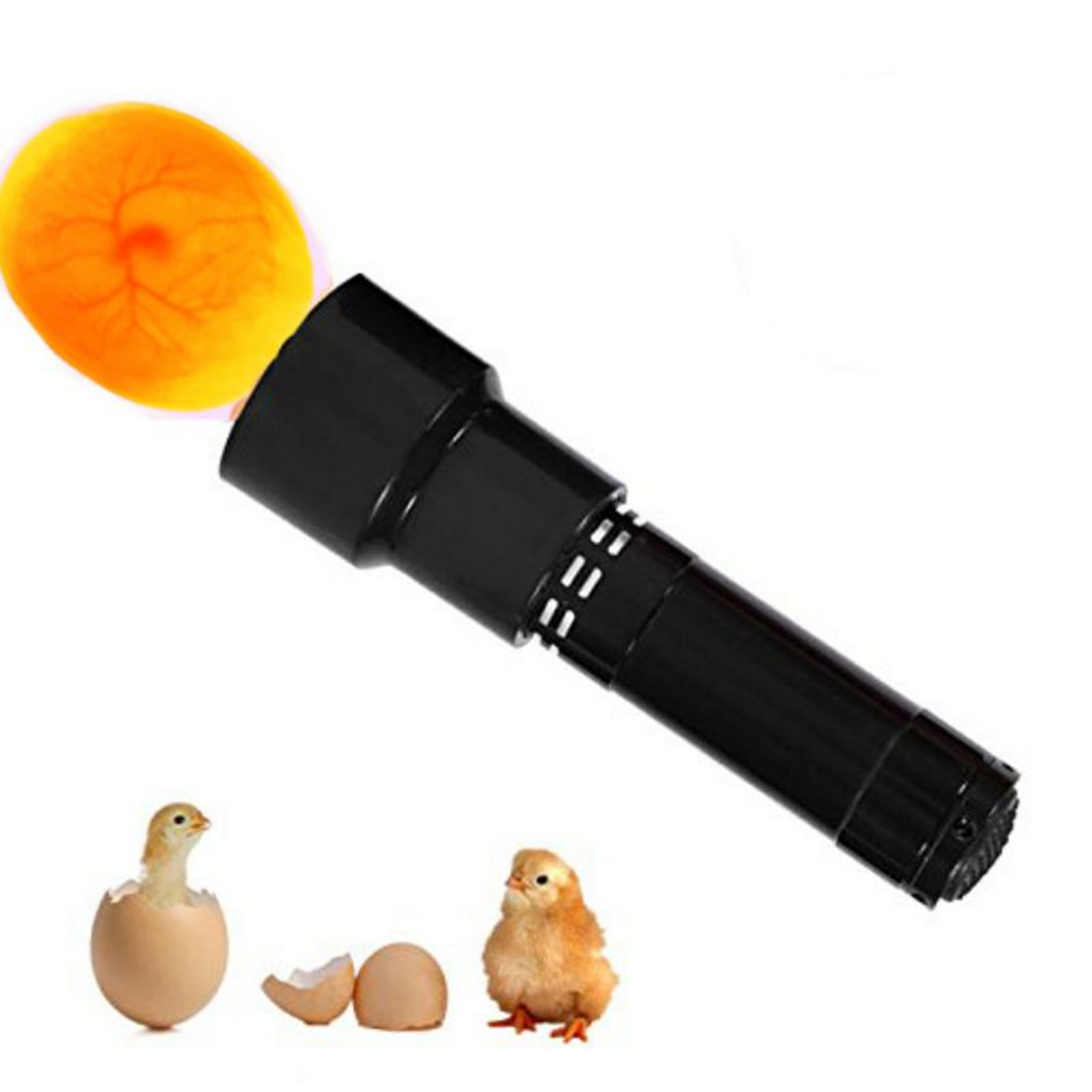 Egg Candler for sale in UK 58 secondhand Egg Candlers