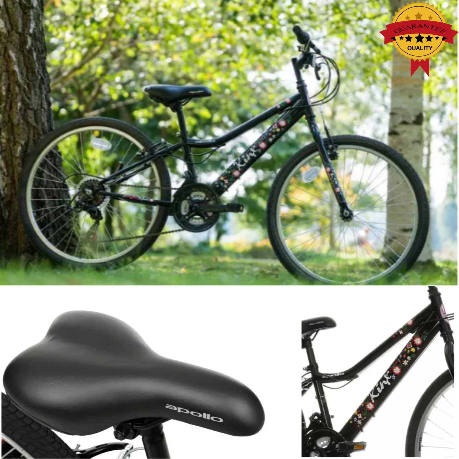 dawes academy 24