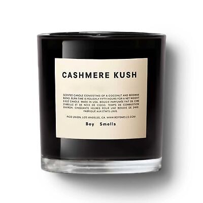 Cashmere Boy Smells Candle | 50 Hour Long Burn | Coconut & Beeswax Blend | Lu...