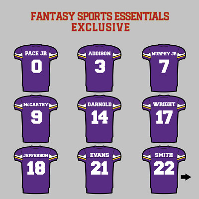 Minnesota Vikings 2024 Home Jersey Magnets