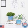 YFFSRJDJ Ceramic Flower Plants Pots Planter with Drainage Hole, 6.0 inch+5.0 Inch. Indoor-Outdoor Large Round Succulent Orchid Pot Set (Blue)