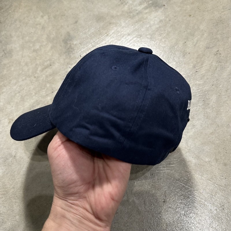 NWOT 2021 BAPE A Bathing Ape GO SKATE Summer Strapback Dad Hat Cap Navy Blue