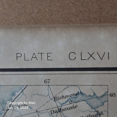 Foto dell'oggetto di un acquirente verificato