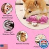 Andiker Dog Squeaky Toys, 10 in/24.5 cm Plush Dogs Toy Soft Dog Chew Toys in Pig Shape for Chewing Biting, Stuffed Puppy Toys with a 9.5 cm Squeaker and Crinkle Paper for All Breed Sizes Dogs (Pink)