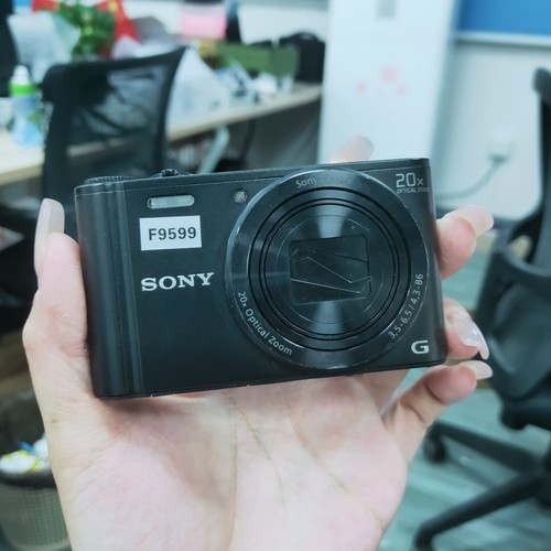 SONY Cyber−Shot WX DSC-WX300 Amazon.com : Sony DSC-WX300/R 18 MP Digital Camera with 20x
