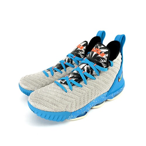 lebron xvi grade school