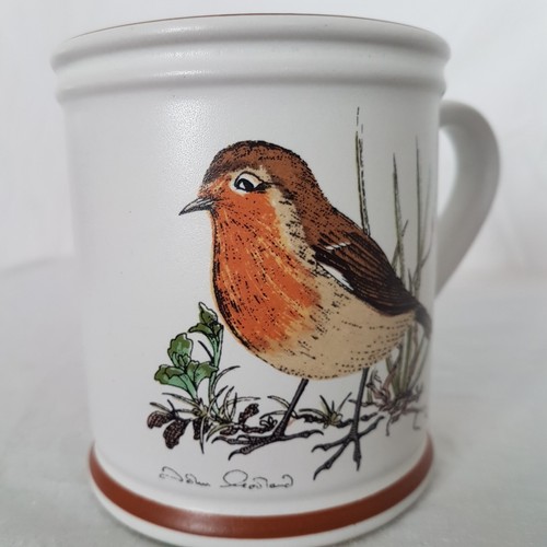 Coffee Cup European Robin DENBY England Scientific Erithacus Rebucela  Mug