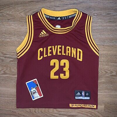 3t lebron james jersey