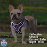 Jolifield No Pull Dog Harness with Leash Set for Small Sized Dog, Reflective Adjustable No Choke Front Clip Cat Vest Harness with Breathable Mesh, Comfortable Soft Padded Pet Vest, Purple S