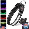 Geyrut Light Up Dog Collar, USB-C Rechargeable and Waterproof Dog Glow Collar for Night Walking, Adjustable Soft Nylon Mesh Led Dog Collar 6 Lighting Colors (M, Adjustable 12.6in-19.6in)