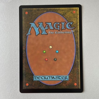 Magic the Gathering Murders at Karlov Manor #276 Forest Foil