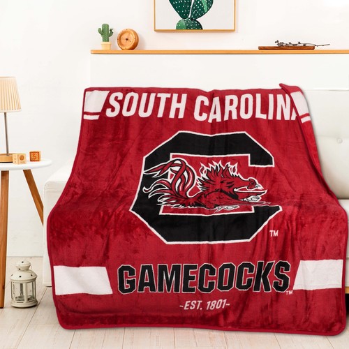 Северо-Западный NCAA, Южная Каролина, Gamecocks, Легион, бросок рашелем, 50 x 60