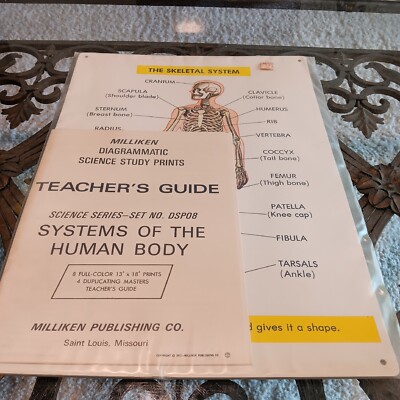 Vintage 1970s Science Series System Of The Human Body Milliken Publishing Co NEW