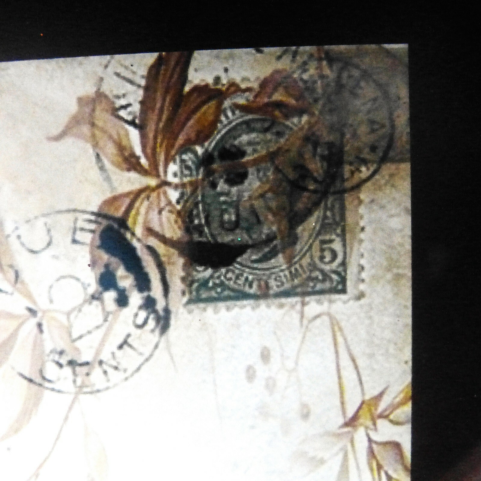 Vintage Wood and Glass Shadow Box Featuring a 1913 Christmas Holiday Postcard