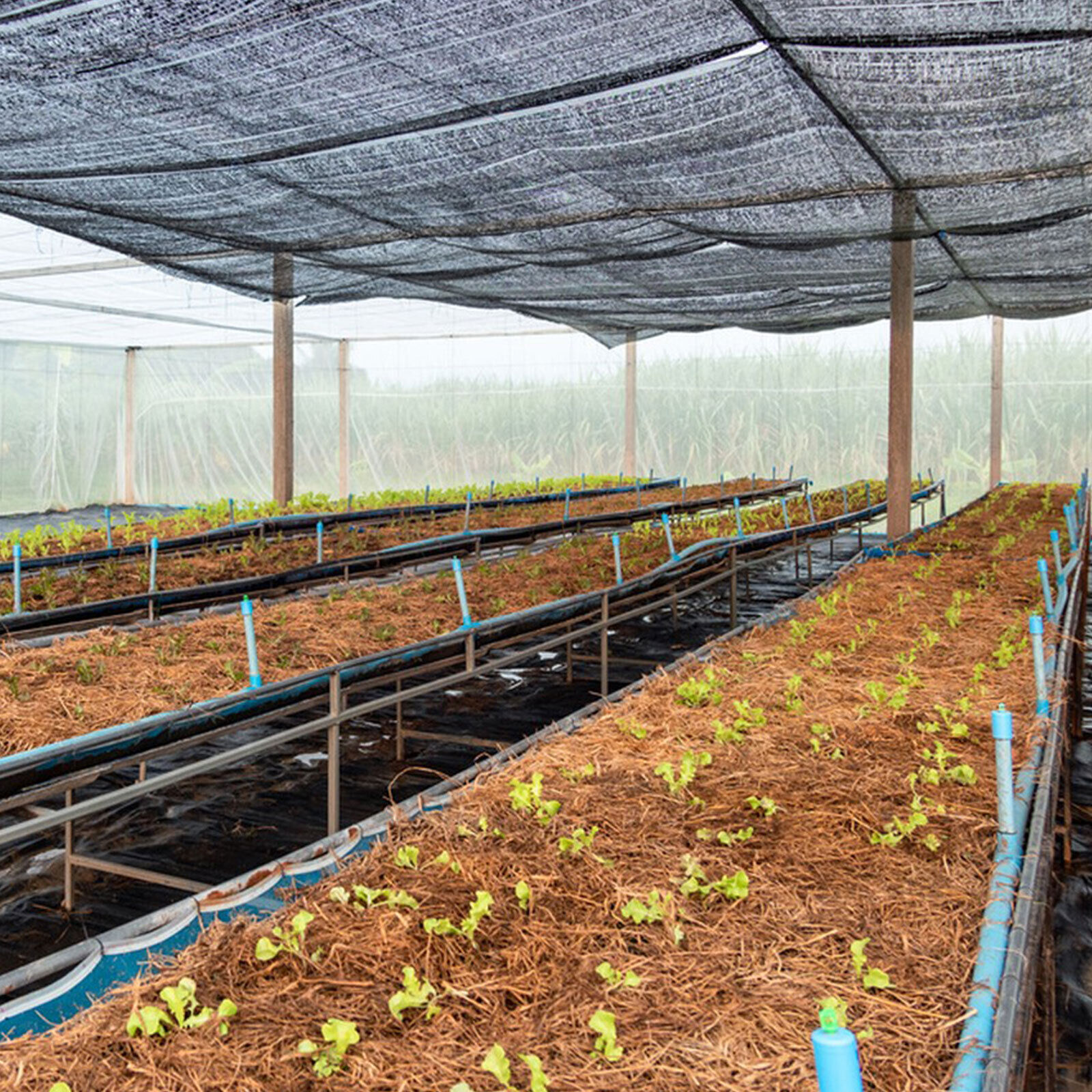 10x20FTResist Sun Shade Cloth Sunblock With Grommets Plants Patio Pergola Canopy