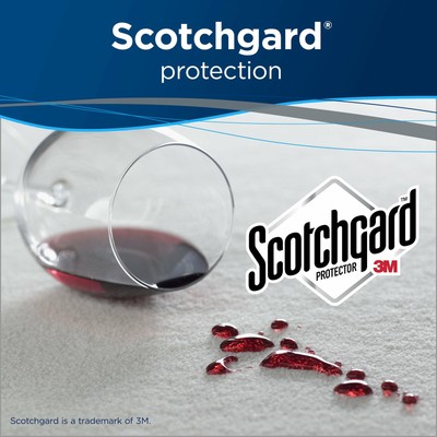 Bissell Professional 2X Deep Cleaner Pro Carpet Shampoo Solution Stain Remover