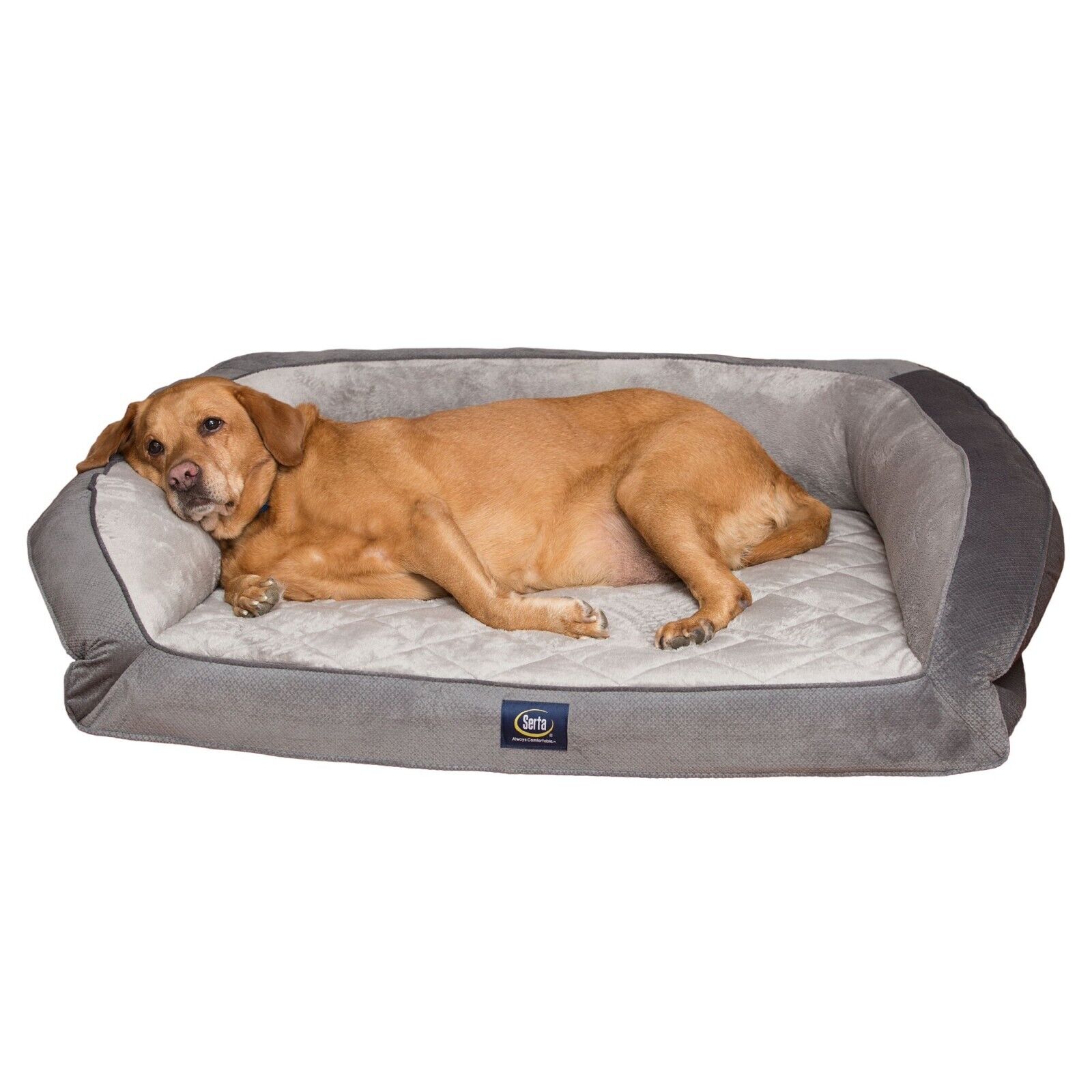 Serta Quilted Gel Memory Foam Orthopedic Dog Couch Pet Bed, 