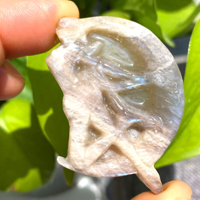 Natural moonstone quartz Sailor Moon skull hand carved crystal reiki Healing 1pc