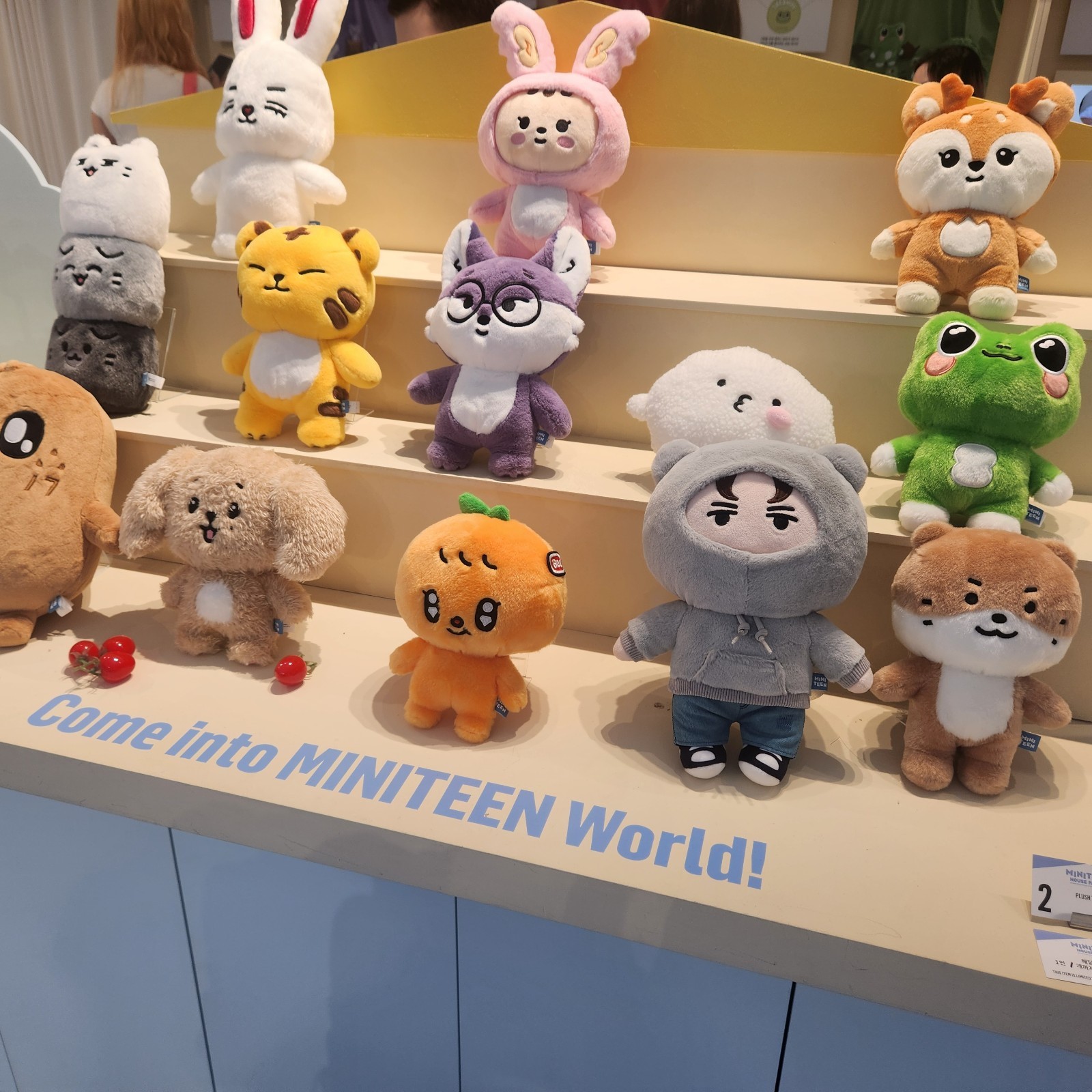 SEVENTEEN MINITEEN ぬいぐるみ スングァン PLUSH TOY SEVENTEEN plush toy MINITEEN HOUSE PARTY SEVENTEEN Official