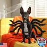 Rypet Pet Spider Costume - Halloween Spider Costume for Cats and Small to Medium Dogs Halloween Party Dress Up Festival Decoration Cosplay Pet Costume