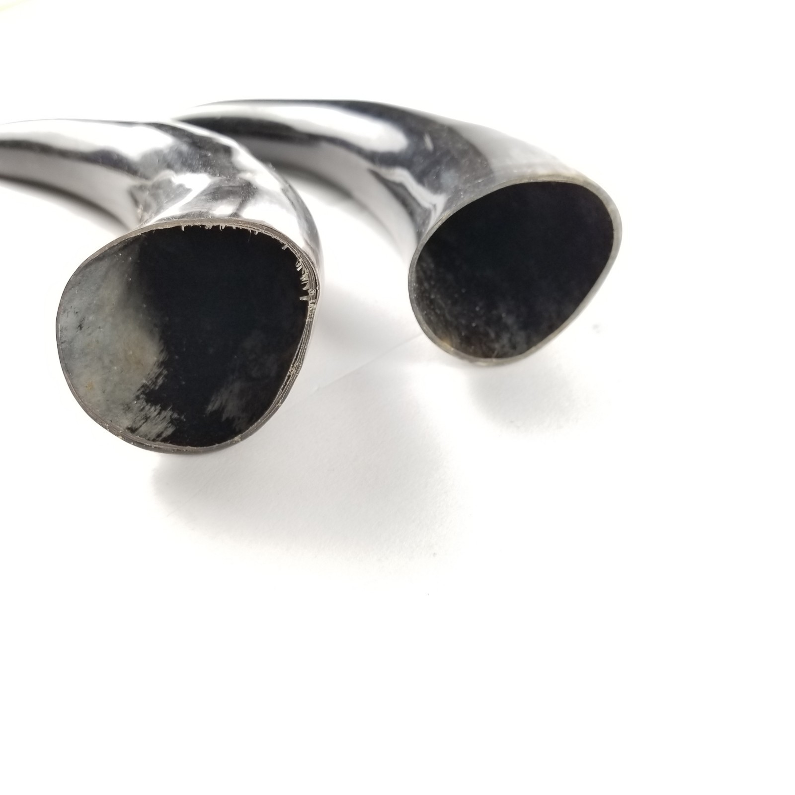 Polished Steer Cow Horn Lot of 2 Black Natural Markings Curved Taxidermy Crafts