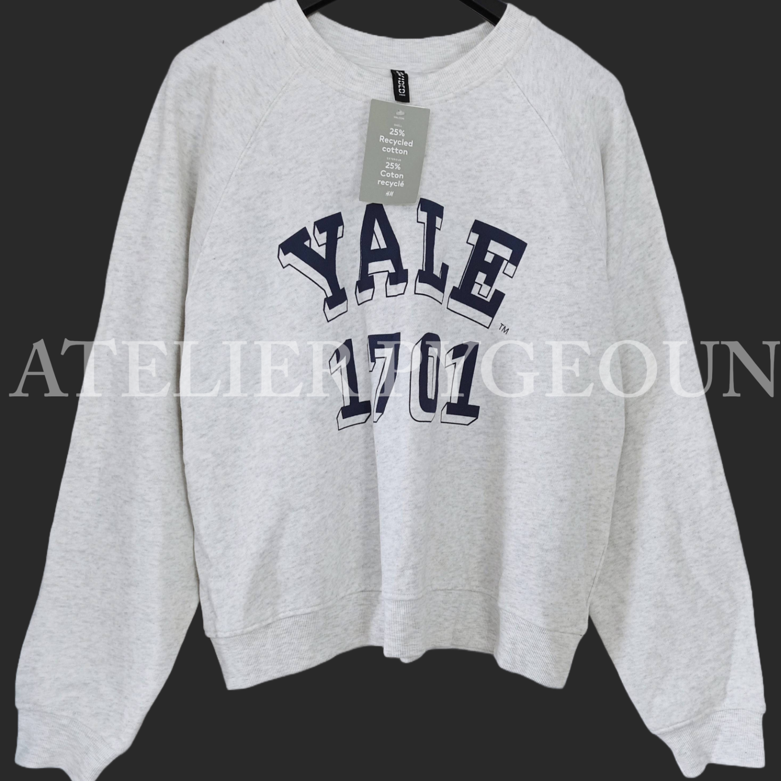 NWT H&M Loose-Fit Sweatshirt Printed Yale 1701 Motif Gray