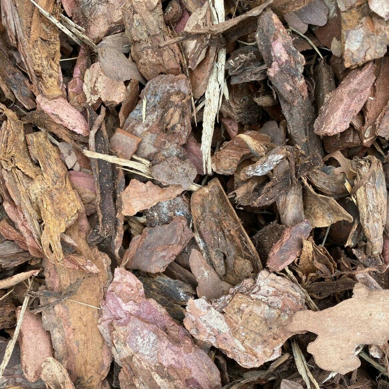 Pinienrinde Dekorrinde Rindenmulch Pinie Natur Rinde Mittel 20-50mm