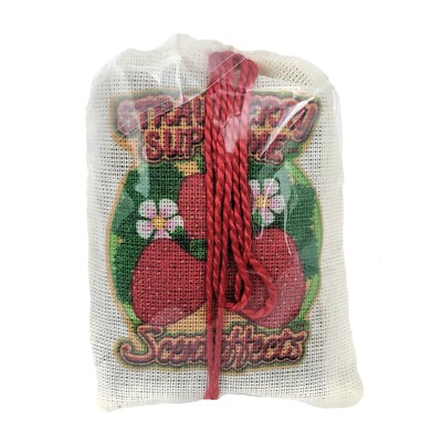 Scenteffects Car Air Freshener Bag Pouch, Long Lasting & Strong, YOU CHOOSE