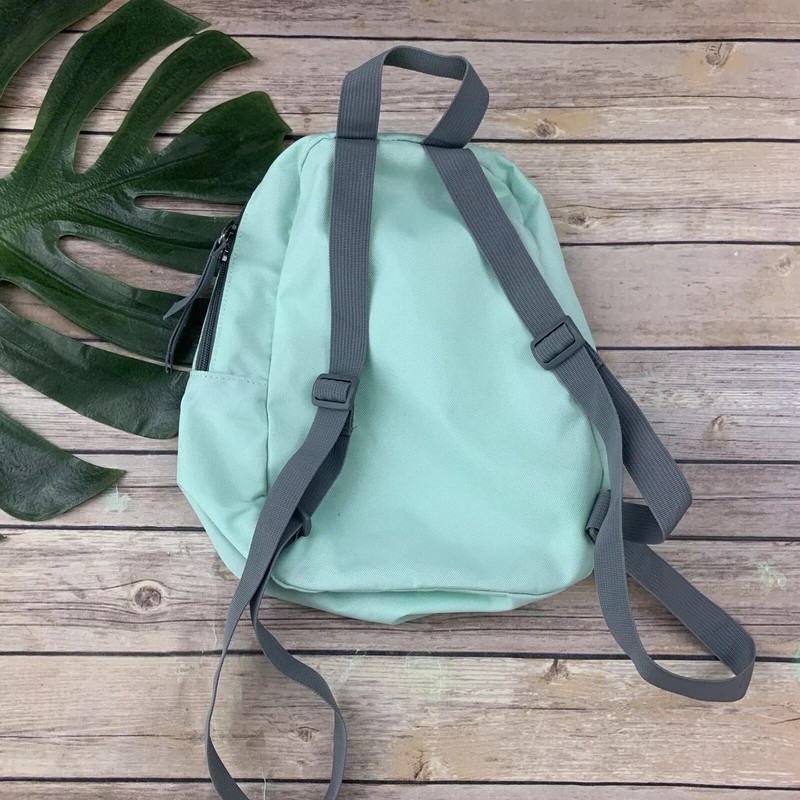 trans jansport mini backpack