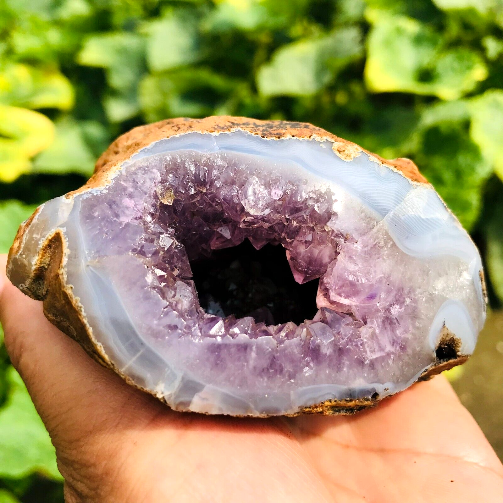 Amethyst agate geode online