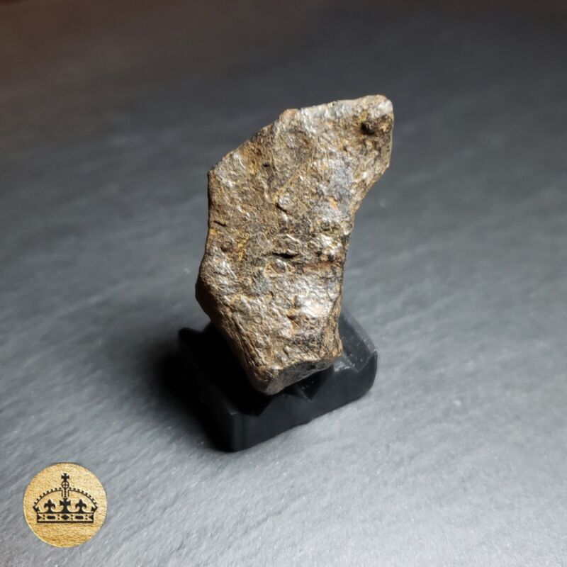 Canyon Diablo Meteorite Specimen | 22.3g | Top quality