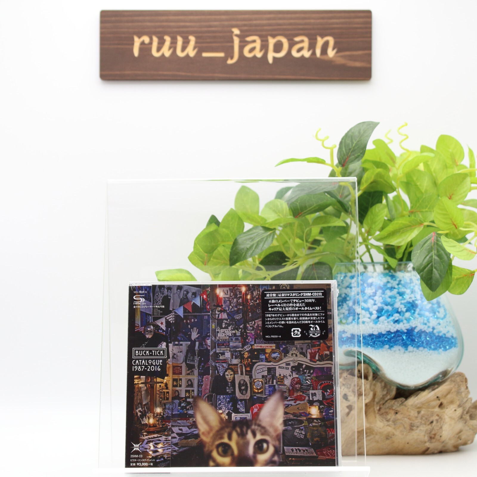 BUCK-TICK DVD2枚、CD2枚、計 4枚組 BUCK-TICK DVD2枚、CD2枚、計 4枚組
