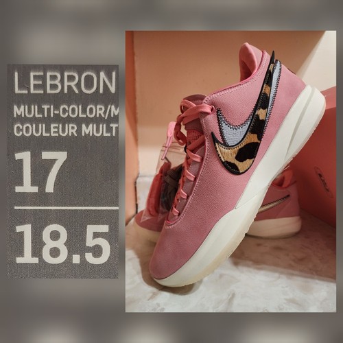 NIKE レブロン20 サウスビースト LeBron 20 'South Beast' - Nike - DQ3828 900 - multi-color