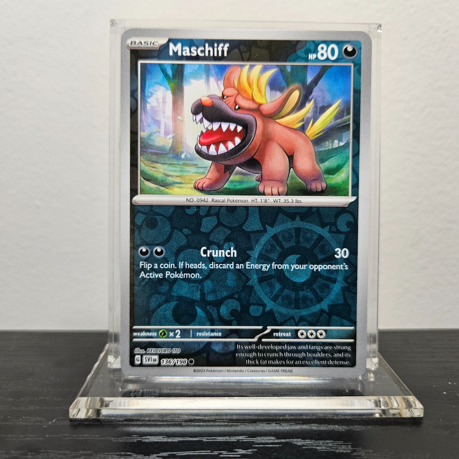Maschiff 136/198 Reverse Holo Common - Pokemon TCG Scarlet