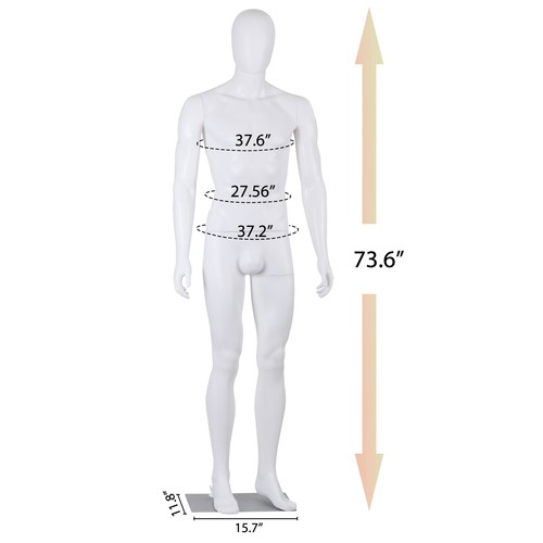 Male Mannequin Full Body Dress Form Adjustable 73Inch Realistic Detachable White