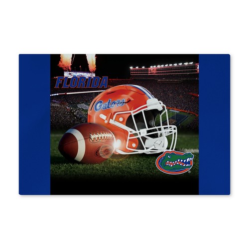 Моющийся коврик для пола Northwest NCAA Florida Gators Gameday, 20 x 32