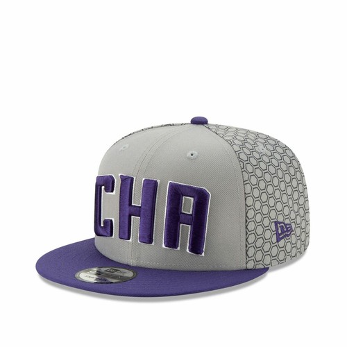 [12286159] Мужские New Era Charlotte Hornets - серый/фиолетовый City Series 950 Snapback