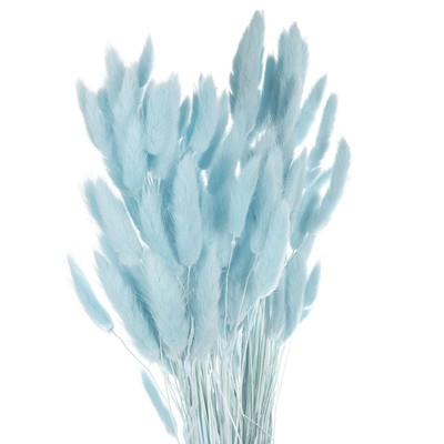 120pcs Natural Bunny Tails Dried Flowers 24'' Mini Pampas Grass, Sky Blue