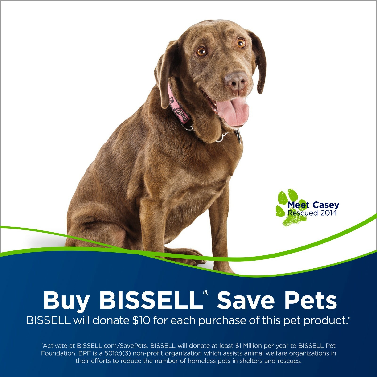 Bissell CrossWave PetPro Multi-Surface Wet/Dry Vac Vacuum Wash at the Same Time