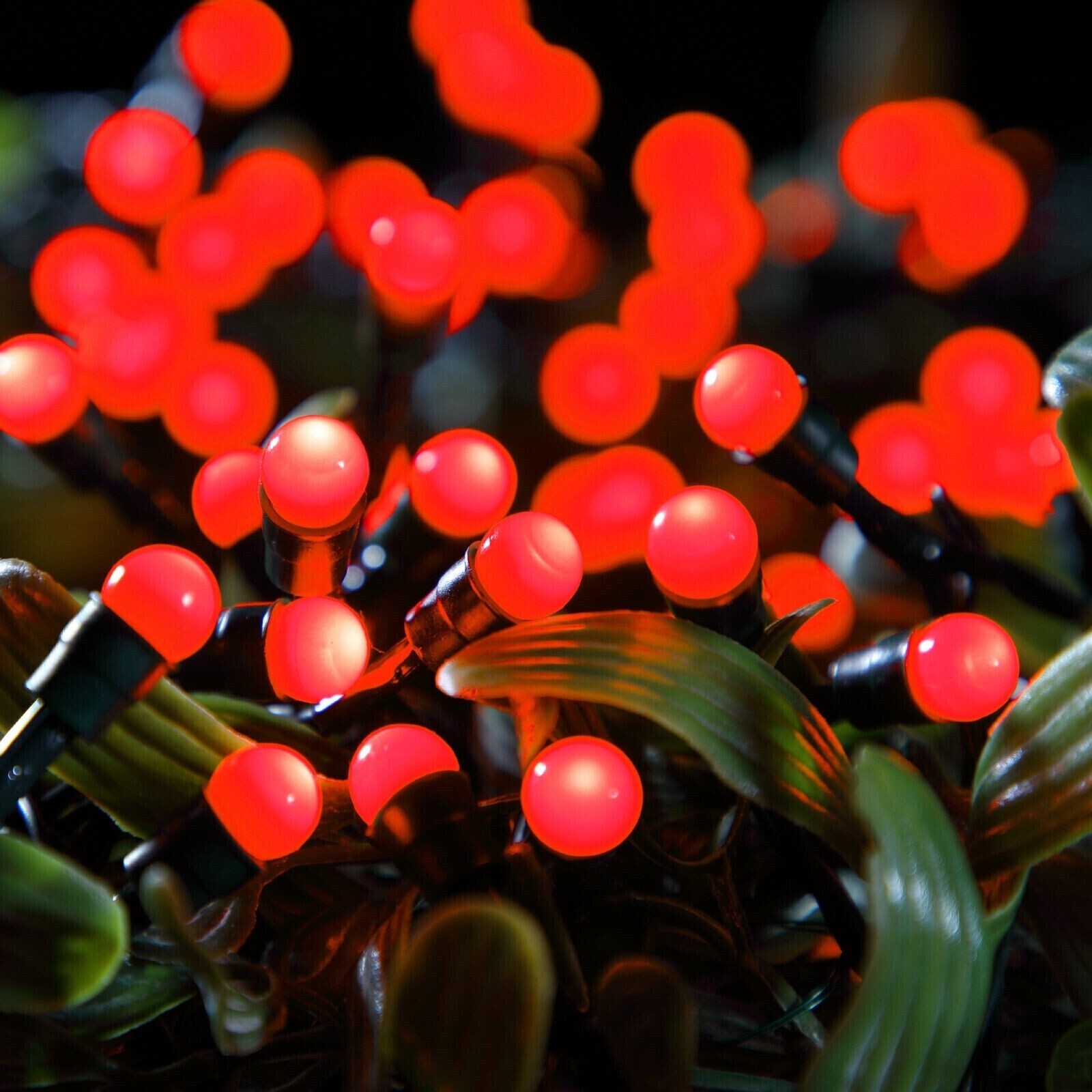 100 Red Holly Berry LED 9.9m Christmas Lights, Fit & Forget 72 Day Battery