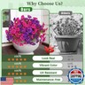 MARTINE MALL 12 Bundles Look Real Artificial Flowers for Outdoors, Realistic Fake Outdoor Flowers, UV Resistant Silk Petunia Flowers for Outside Faux Flowers Plants for Outdoor Porch, Purple+Fuchsia