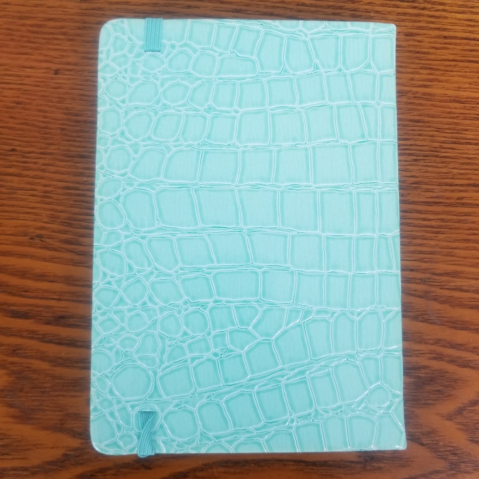 Journal Diary Green Aqua 192 Lined Pages Ribbon Bookmark PlanAhead 7.25X5.25