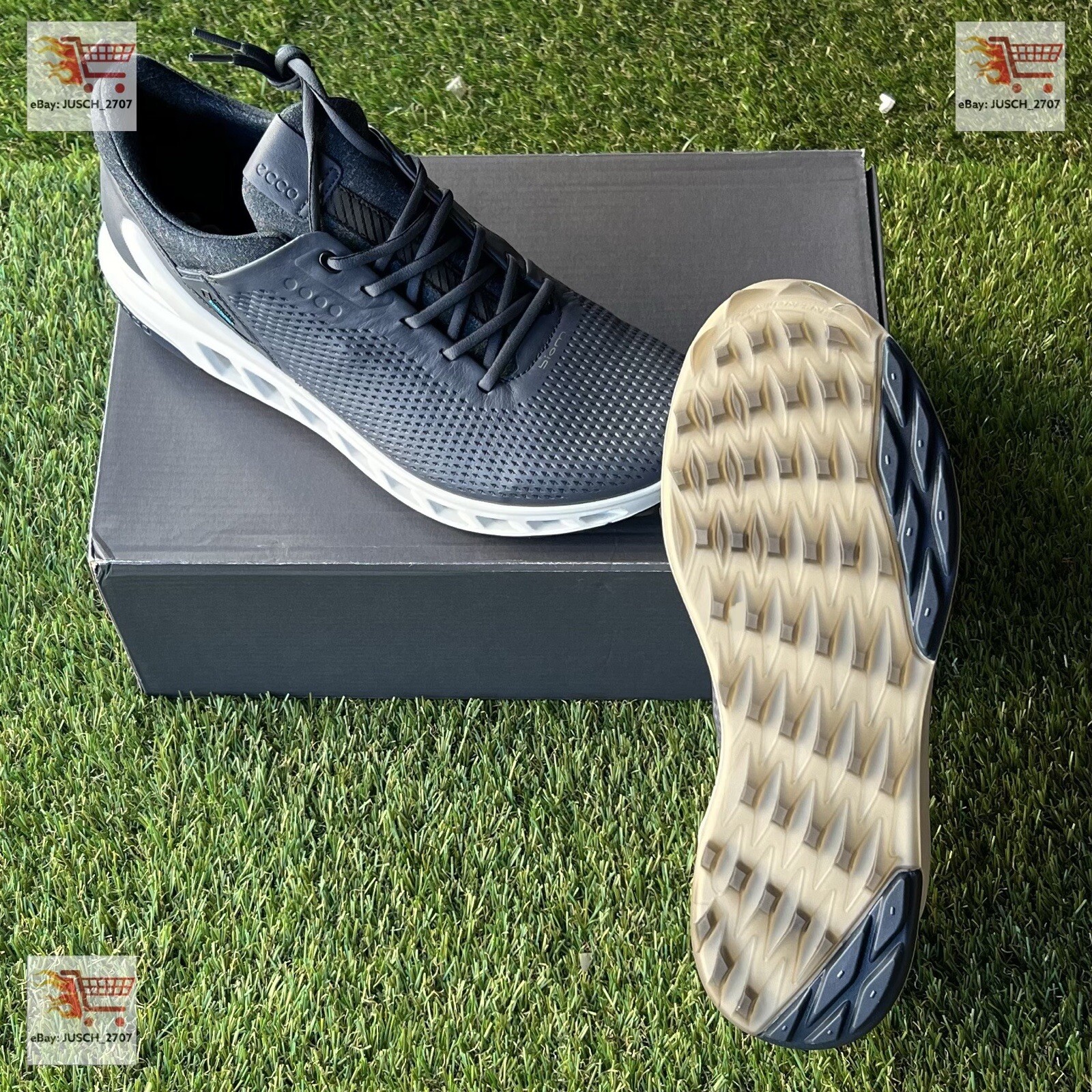 ecco biom gtx